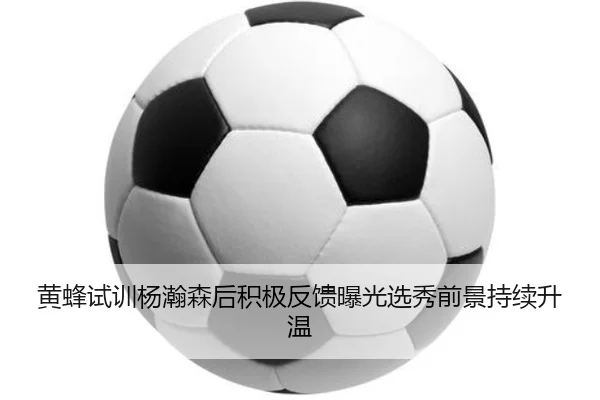 黄蜂试训杨瀚森后积极反馈曝光选秀前景持续升温